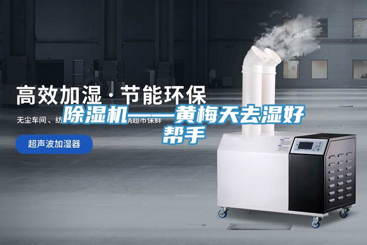 91看片网站——黃梅天去濕好幫手