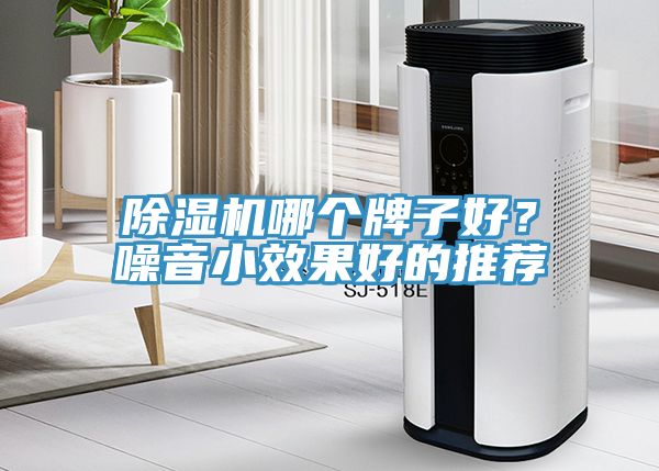 91看片网站哪個牌子好？噪音小效果好的推薦