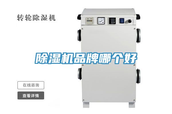 91看片网站品牌哪個好