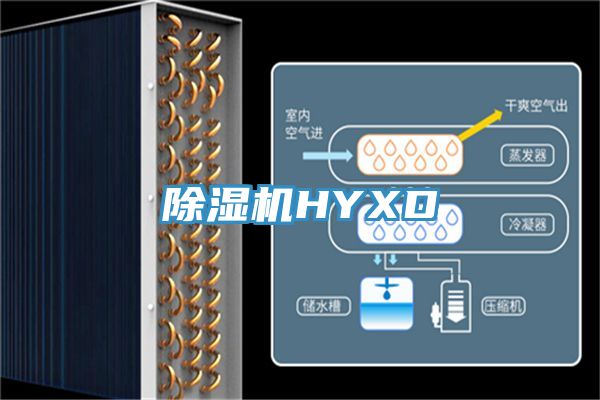 91看片网站HYXD