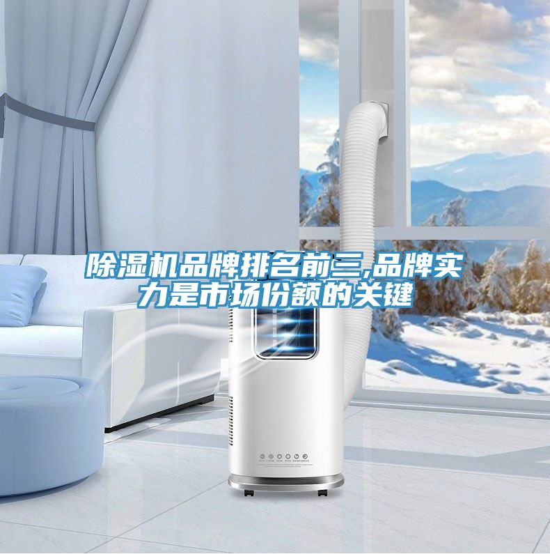 91看片网站品牌排名前三,品牌實力是市場份額的關鍵