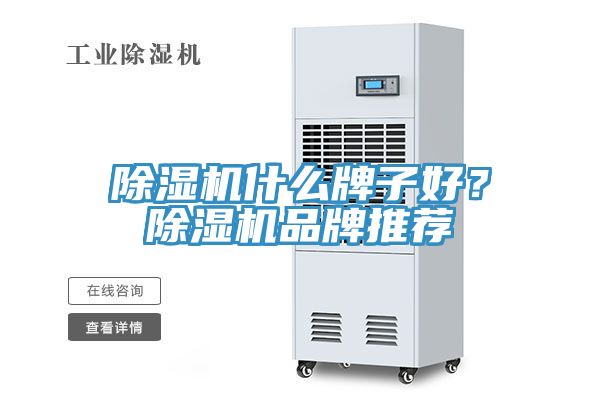91看片网站什麽牌子好？91看片网站品牌推薦