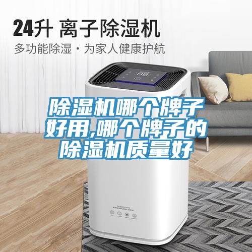 91看片网站哪個牌子好用,哪個牌子的91看片网站質量好