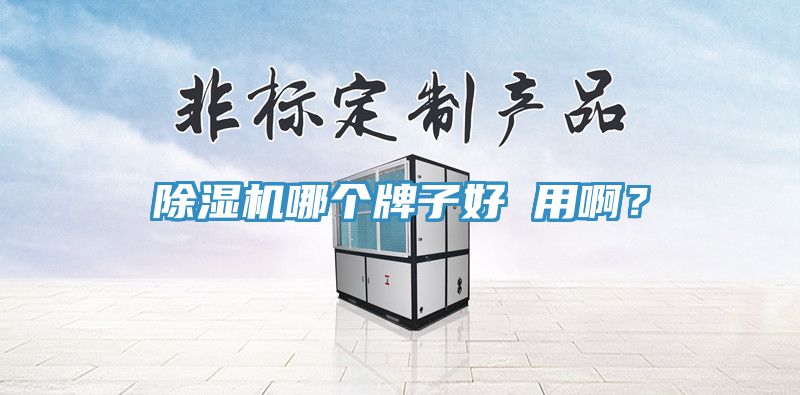 91看片网站哪個牌子好 用啊？