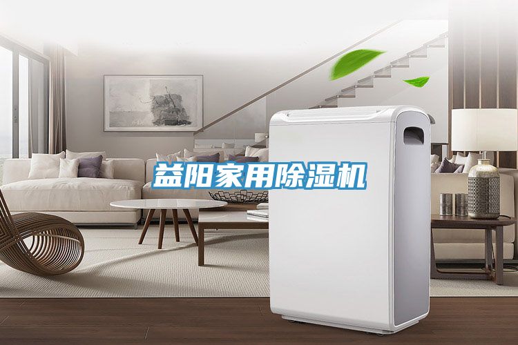益陽家用91看片网站