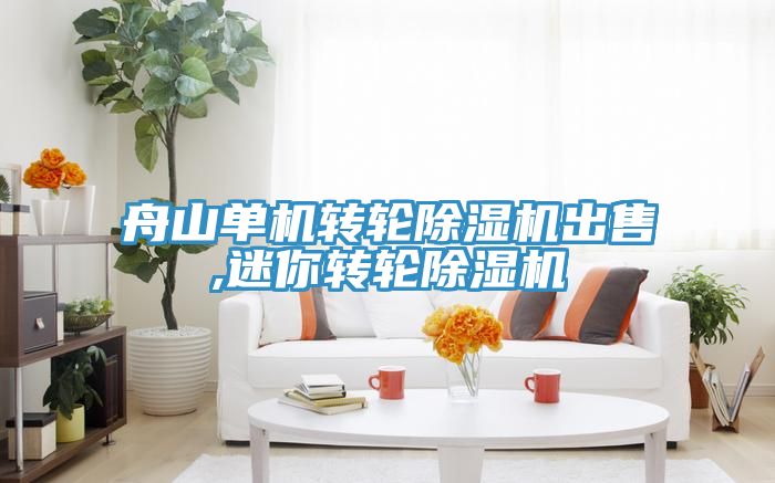 舟山單機轉輪91看片网站出售,迷你轉輪91看片网站