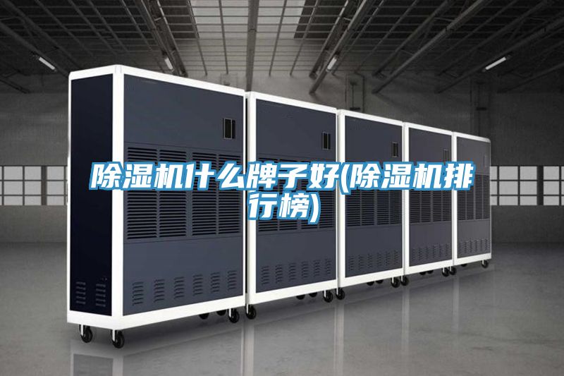91看片网站什麽牌子好(91看片网站排行榜)