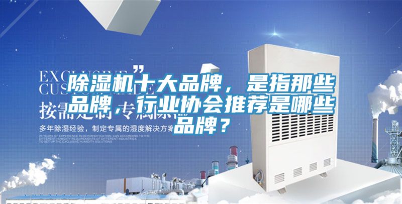 91看片网站十大品牌，是指那些品牌，行業協會推薦是哪些品牌？