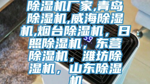 91看片网站廠家,青島91看片网站,威海91看片网站,煙台91看片网站，日照91看片网站，東營91看片网站，濰坊91看片网站，山東91看片网站