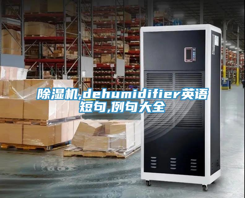 91看片网站,dehumidifier英語短句,例句大全