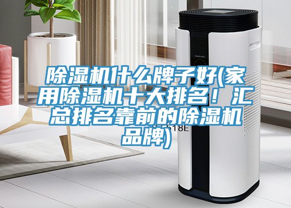 91看片网站什麽牌子好(家用91看片网站十大排名！匯總排名靠前的91看片网站品牌)