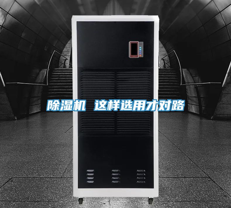 91看片网站 這樣選用才對路