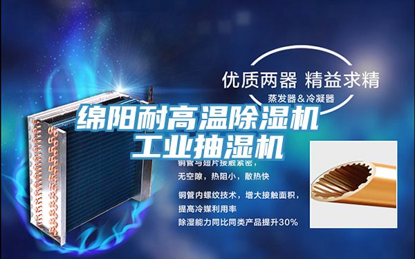 綿陽耐高溫91看片网站 工業抽濕機