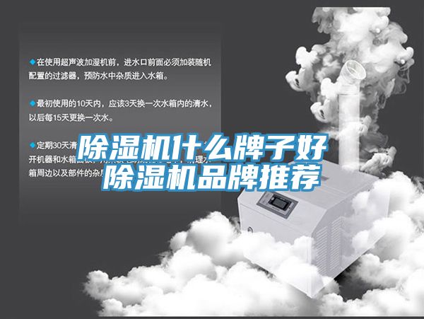 91看片网站什麽牌子好 91看片网站品牌推薦