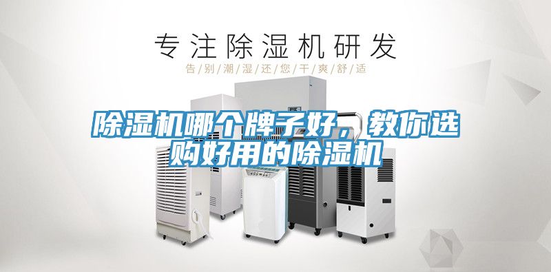 91看片网站哪個牌子好，教你選購好用的91看片网站
