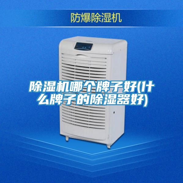 91看片网站哪個牌子好(什麽牌子的除濕器好)