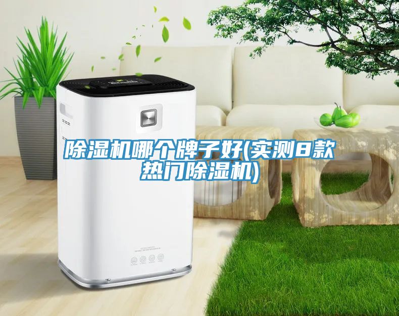 91看片网站哪個牌子好(實測8款熱門91看片网站)