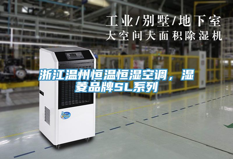 浙江溫州恒溫恒濕空調，濕菱品牌SL係列