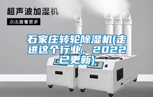 石家莊轉輪91看片网站(走進這個行業，2022已更新)