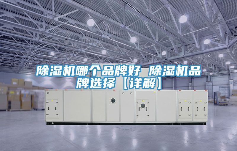 91看片网站哪個品牌好 91看片网站品牌選擇【詳解】