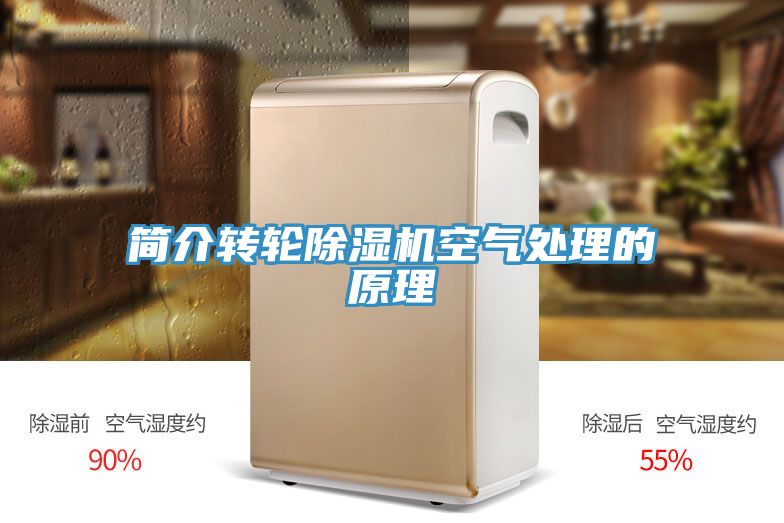 簡介轉輪91看片网站空氣處理的原理