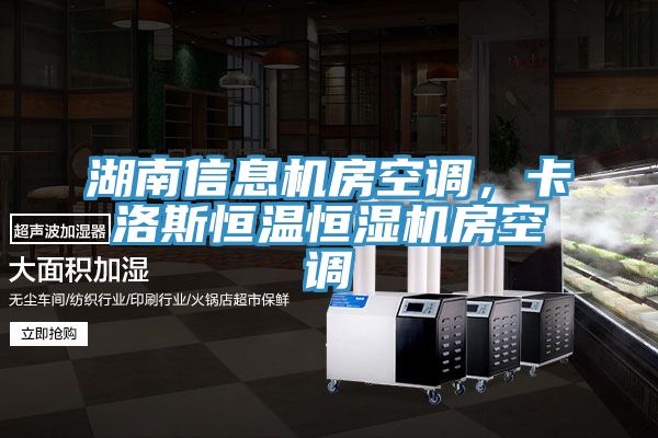 湖南信息機房空調，卡洛斯恒溫恒濕機房空調