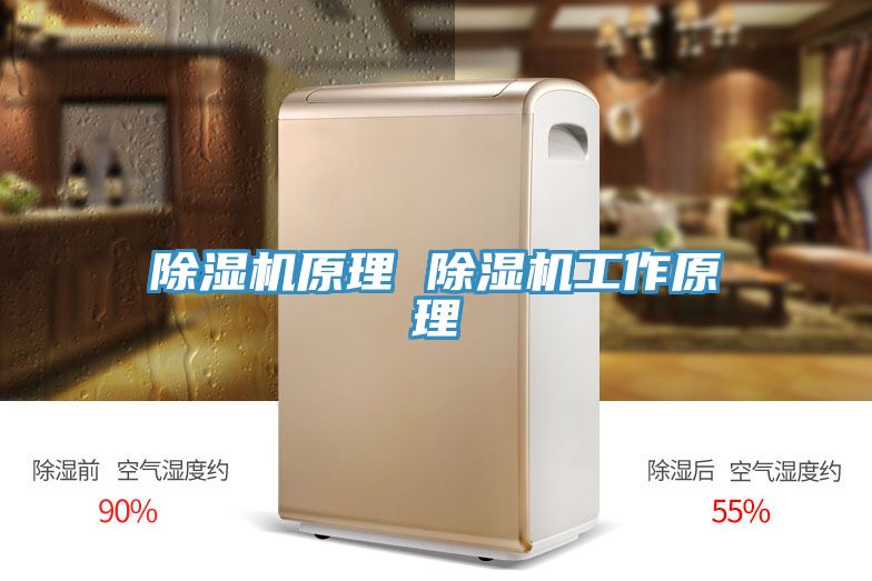 91看片网站原理 91看片网站工作原理