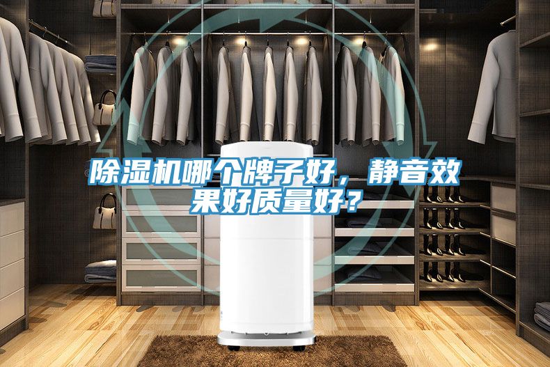 91看片网站哪個牌子好，靜音效果好質量好？