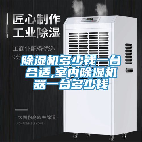 91看片网站多少錢一台合適,室內91看片网站器一台多少錢