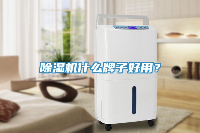 91看片网站什麽牌子好用？