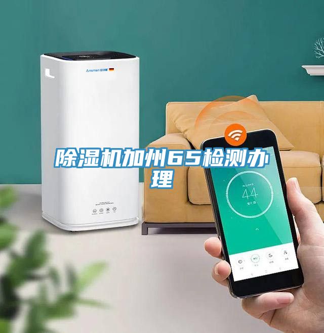 91看片网站加州65檢測辦理
