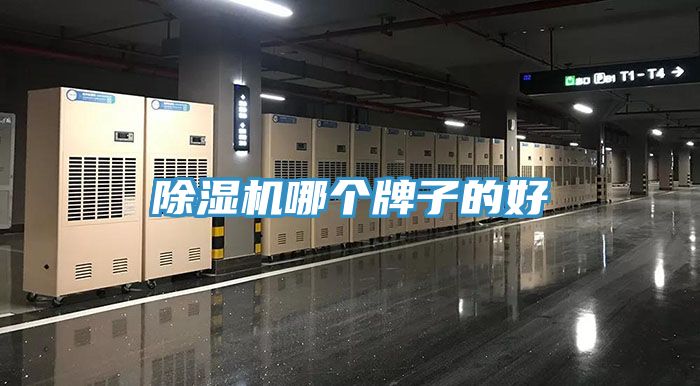 91看片网站哪個牌子的好