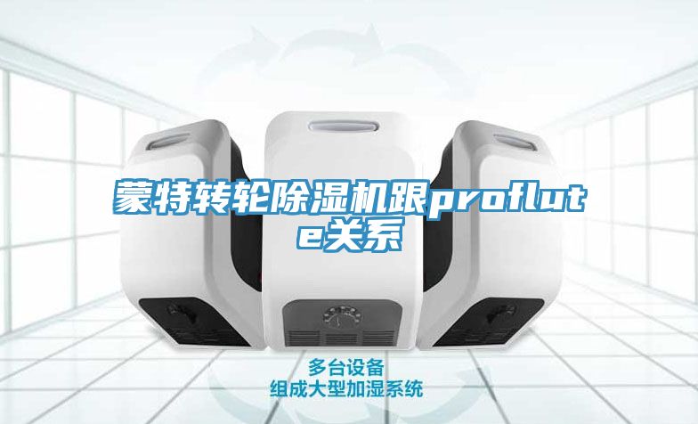 蒙特轉輪91看片网站跟proflute關係