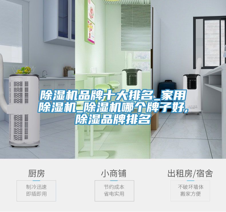91看片网站品牌十大排名_家用91看片网站_91看片网站哪個牌子好,除濕品牌排名