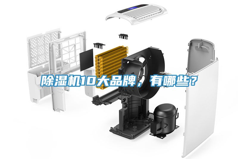 91看片网站10大品牌，有哪些？