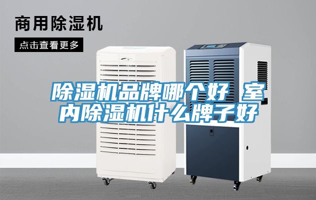 91看片网站品牌哪個好 室內91看片网站什麽牌子好