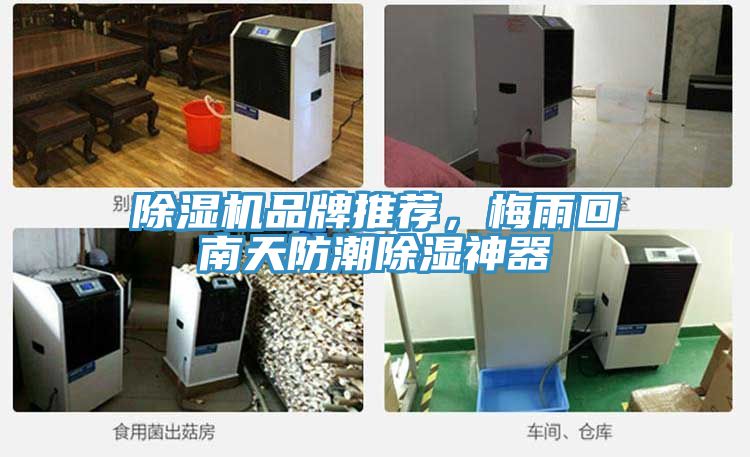 91看片网站品牌推薦，梅雨回南天防潮除濕神器