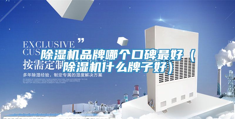 91看片网站品牌哪個口碑最好（91看片网站什麽牌子好）