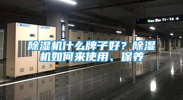 91看片网站什麽牌子好？91看片网站如何來使用、保養