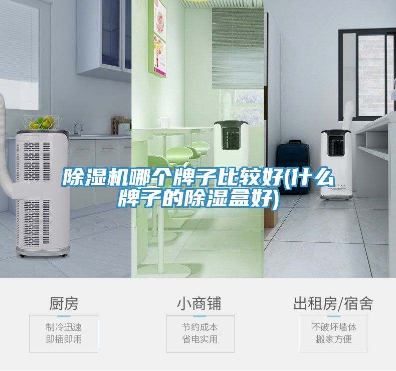 91看片网站哪個牌子比較好(什麽牌子的除濕盒好)