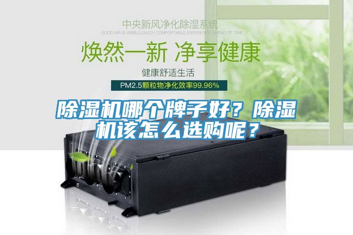 91看片网站哪個牌子好？91看片网站該怎麽選購呢？