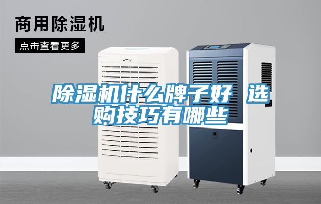 91看片网站什麽牌子好 選購技巧有哪些