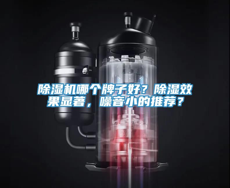 91看片网站哪個牌子好？除濕效果顯著，噪音小的推薦？