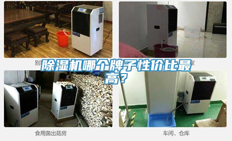 91看片网站哪個牌子性價比最高？