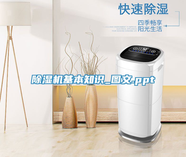 91看片网站基本知識_圖文.ppt