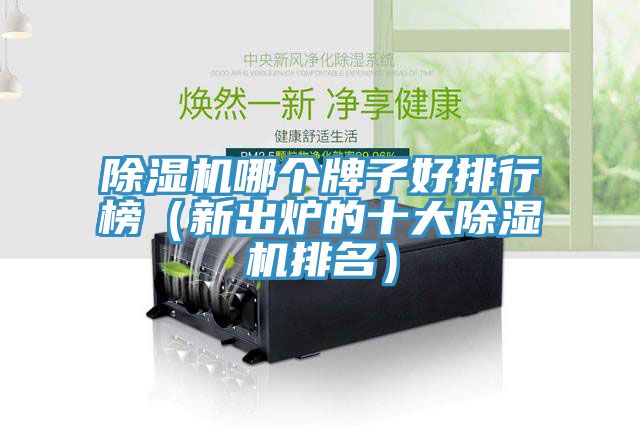 91看片网站哪個牌子好排行榜（新出爐的十大91看片网站排名）