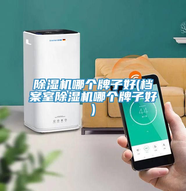 91看片网站哪個牌子好(檔案室91看片网站哪個牌子好)