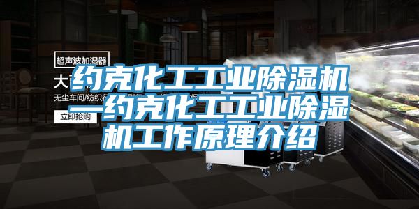 約克化工工業91看片网站—約克化工工業91看片网站工作原理介紹