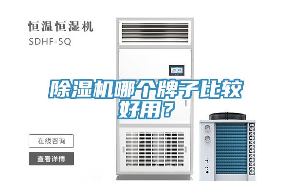 91看片网站哪個牌子比較好用？