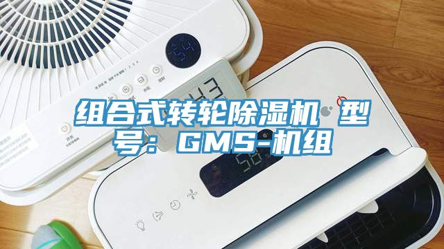 組合式轉輪91看片网站 型號：GMS-機組
